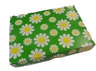 Daisy Box 24-Choc 340g Chosen Selection