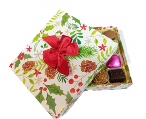 16-Choc Fancy Christmas Box 225g (Assorted)