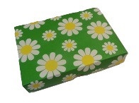 Daisy Box 12-Choc 170g Chosen